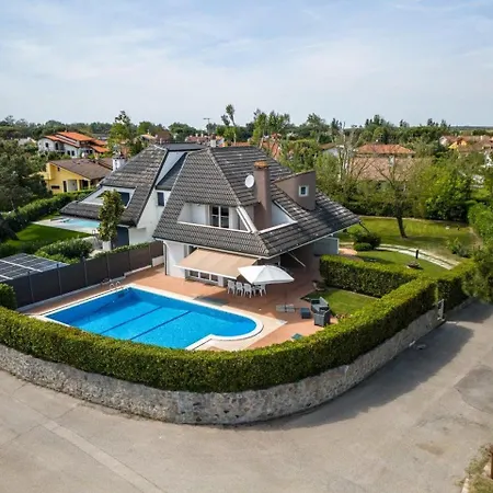 فيلة Pitosforo *