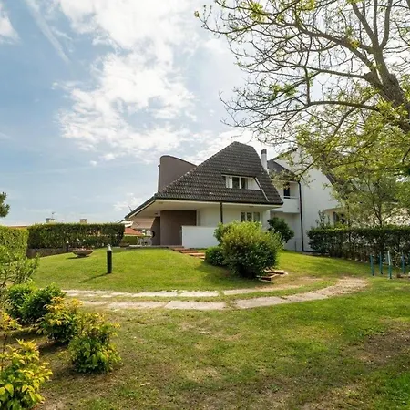 Pitosforo فيلة Caleri