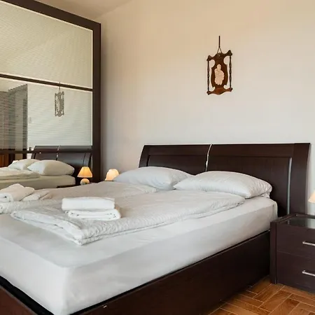 Pitosforo فيلة Caleri