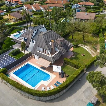 Pitosforo Villa Caleri